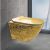 Huayu Tangdao Luxury Golden Wall Hung Toilet Wc From Dubai Golden Toilet