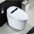 NUOBEITAO Indoors intelligent Remote Electric Automatic Flush Wc Bidet 